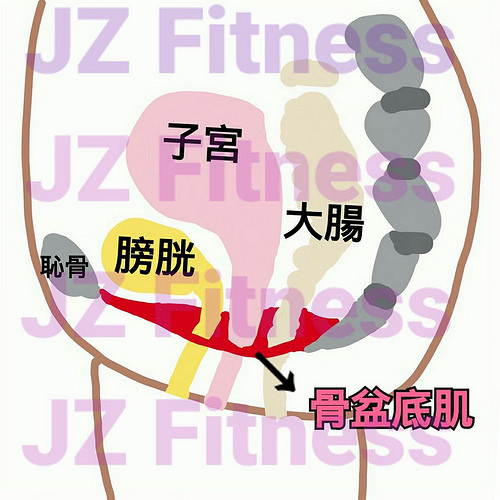 月經(jīng)來了可以運動么 生理期推薦的運動