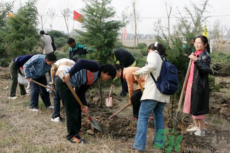 植樹(shù)節(jié)是幾月幾日？植樹(shù)節(jié)可以做些什么活動(dòng)？