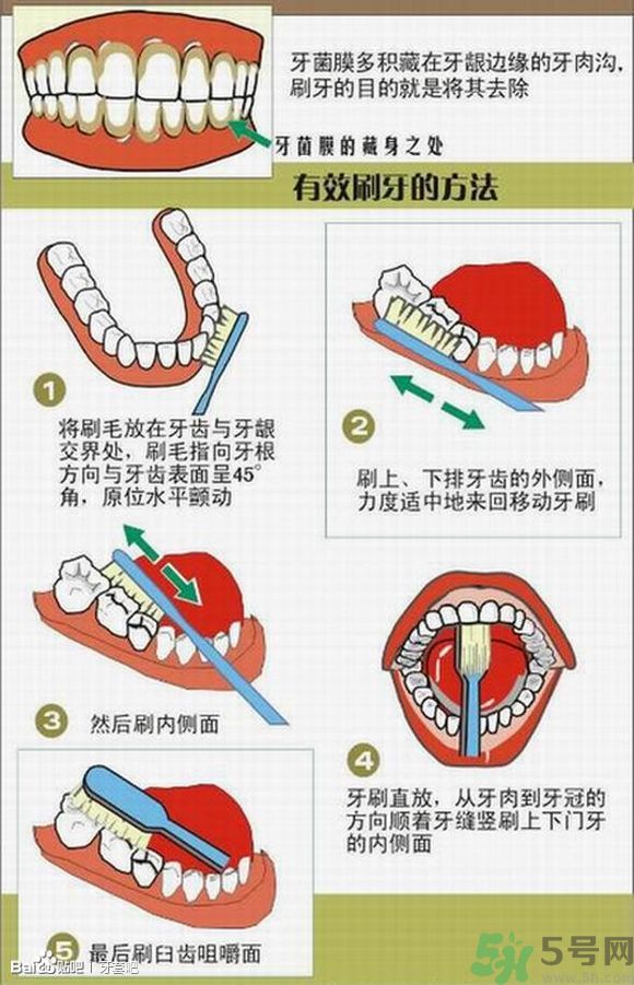 18歲還能戴牙套嗎？戴牙套真的能瘦臉改變臉型嗎？