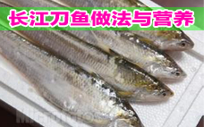 秋刀魚(yú)是刀魚(yú)嗎？秋刀魚(yú)和刀魚(yú)的區(qū)別