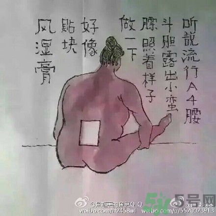 a4腰也叫水桶腰是什么意思？a4腰也叫水桶腰圖片？ 