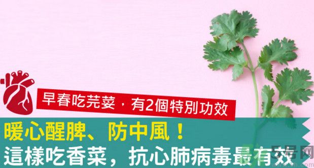 春天吃香菜好嗎？春天吃香菜有什么好處？