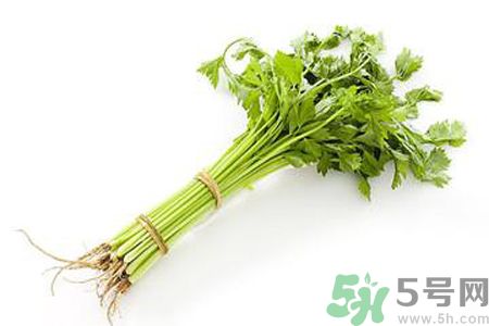 芹菜可以減肥嗎？芹菜有什么功效？