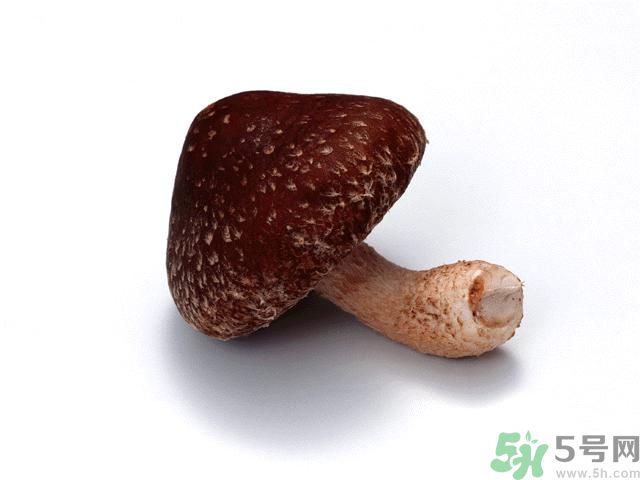 西紅柿發(fā)青可以吃嗎？青西紅柿吃了好不好？