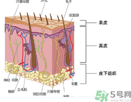 為什么頭發(fā)越來越油？頭發(fā)應(yīng)該幾天洗一次？