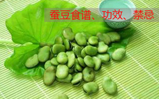 蠶豆的營(yíng)養(yǎng)價(jià)值 蠶豆可以和雞蛋一起吃嗎