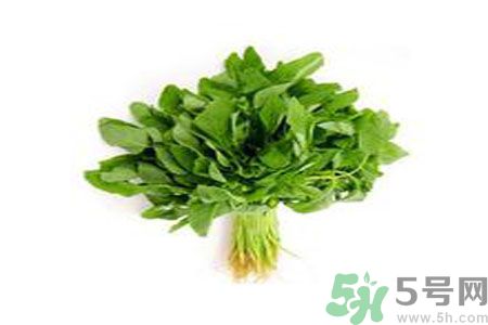 莧菜可以生吃嗎？莧菜生吃了會(huì)怎樣？