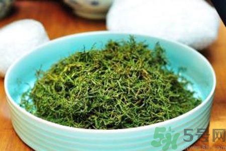 苦菜茶可以和綠茶一起喝嗎？苦菜茶可以和其他茶一起喝嗎？