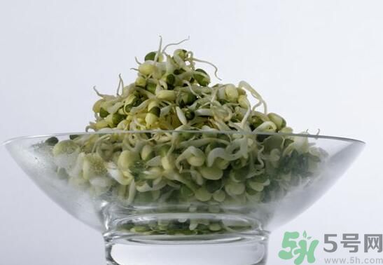 夏天吃綠豆芽可以清火嗎？夏天吃綠豆芽能降火嗎？