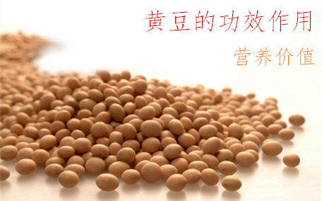 黃豆是粗糧嗎 黃豆要?jiǎng)兤?>
			  <span>黃豆是粗糧嗎 黃豆要?jiǎng)兤?/span>
              <i>0</i> 
			</a>
                            
        </li>
                <li>
                          <a href=