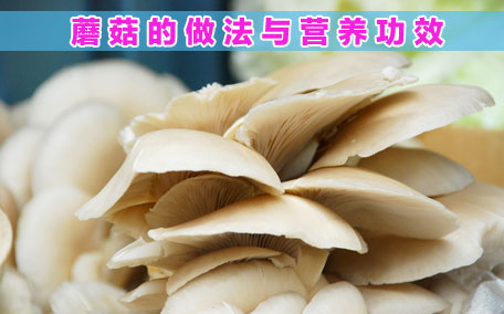 香菇對(duì)胃好嗎 香菇對(duì)胃病有好處嗎