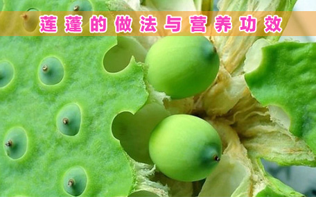 什么是蓮蓬呢 蓮蓬有什么營養(yǎng)價(jià)值呢