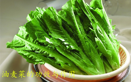 油麥菜能生吃嗎 油麥菜生吃的好處