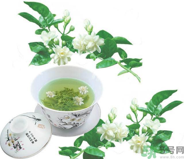 茉莉花茶是熱性還是涼性？茉莉花茶是涼性嗎？