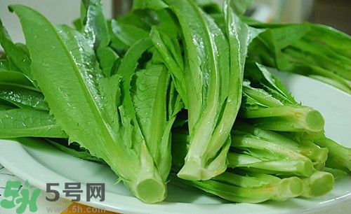 油麥菜不能和什么一起吃?油麥菜和什么相克