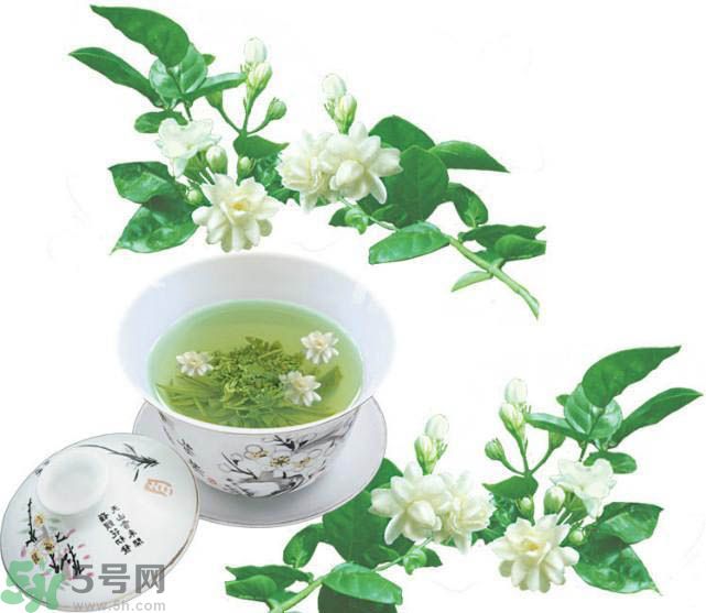 茉莉花茶可以減肥嗎？怎樣喝茉莉花茶可以減肥？