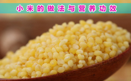 小米有什么營(yíng)養(yǎng)價(jià)值呢 小米是涼性的食物嗎