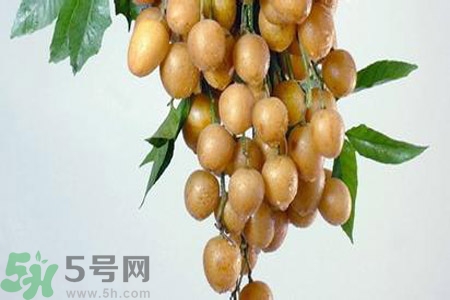 黃皮果是不是發(fā)物？黃皮果是發(fā)物嗎？