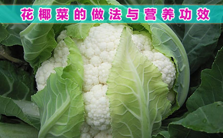 花椰菜的營養(yǎng)成分 花椰菜和菜花的區(qū)別