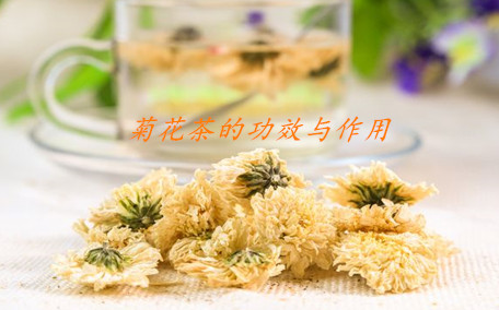 菊花茶可以一直泡著嗎 菊花茶泡多長(zhǎng)時(shí)間最好