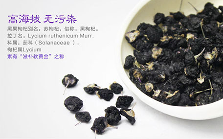 黑枸杞對(duì)痛風(fēng)有治療作用嗎 黑枸杞糖尿病人可以喝嗎