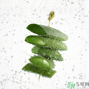 蘆薈怎么吃最好？蘆薈吃多了會怎樣？