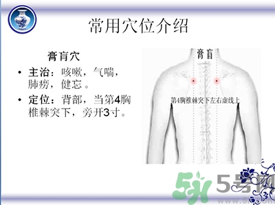 三伏貼可以貼肚臍嗎？三伏貼可以貼肚臍眼嗎？