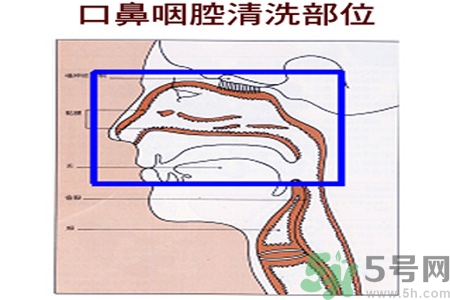 鼻炎能用生理鹽水清理鼻腔嗎？鼻炎能不能用生理鹽水清理鼻腔？