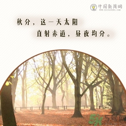 立秋是秋分嗎？立秋和秋分的區(qū)別？