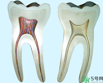 牙齒根管治療多少錢？根管治療一顆要多少錢？