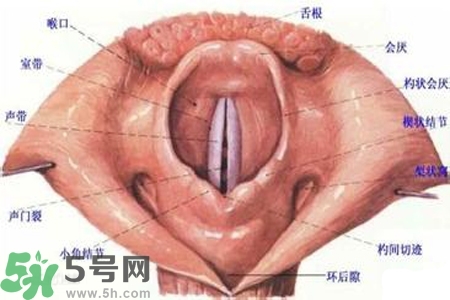 慢性咽炎的發(fā)病因素？慢性咽炎的并發(fā)癥有哪些？