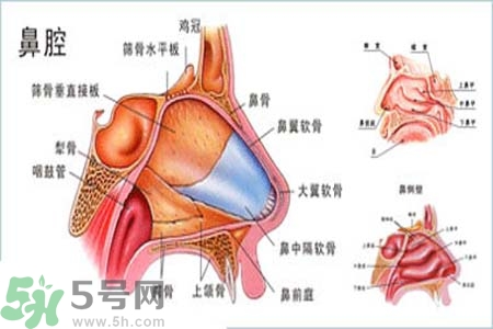 鼻竇炎的護(hù)理措施？鼻竇炎的飲食護(hù)理？