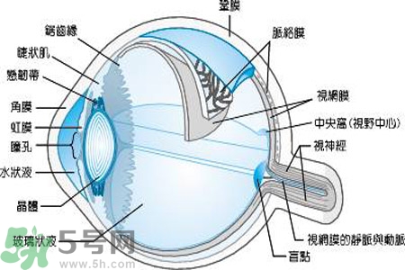 近視眼是什么？近視眼的癥狀有哪些？