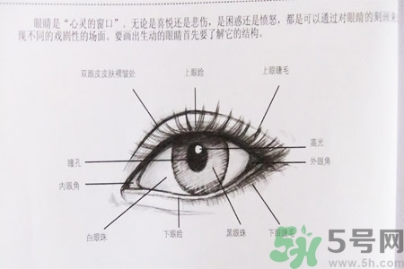 白內(nèi)障的發(fā)病因素是什么？白內(nèi)障并發(fā)癥有哪些？