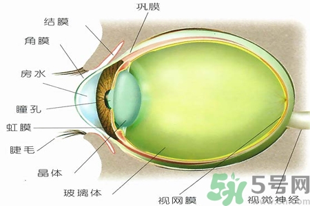 青光眼的治療方法有哪些？青光眼可以哪些藥物治療？