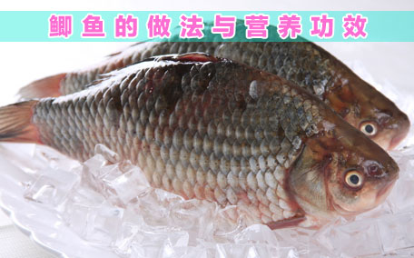 鯽魚有魚腥線嗎 鯽魚怎么去除土腥味