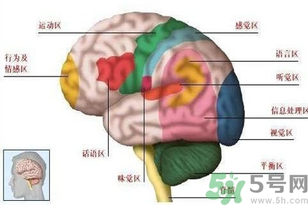 腦出血的發(fā)病因素是什么？腦出血的并發(fā)癥有哪些？