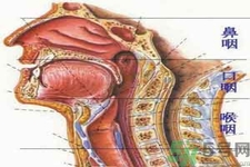 鼻咽癌的治療方法是什么？鼻咽癌可以用什么藥物治療？