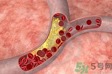 膽固醇對(duì)人體有傷害嗎？膽固醇是什么？