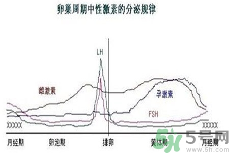 如何分清常見的激素藥？如何正確使用激素類藥物？