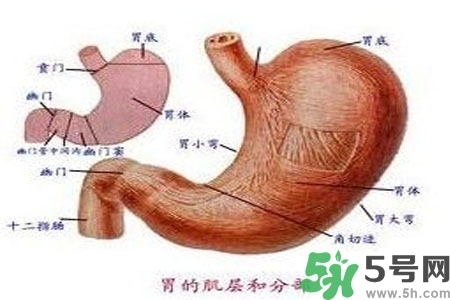 急性腸胃炎哪些食物不可以吃？急性腸胃炎不能吃的水果有？