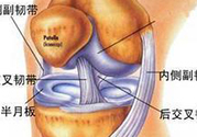 前十字韌帶斷裂可以參加比賽嗎？前十字韌帶斷裂怎么治療？