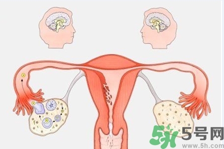 陰道出血癥狀有哪些？陰道出血需注意什么問題？