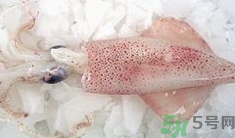 吃魷魚(yú)可以喝牛奶嗎?魷魚(yú)能和牛奶一起吃嗎?