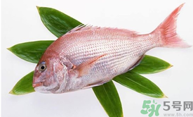 吃魚眼睛對眼睛有好處嗎？吃什么魚對眼睛好？