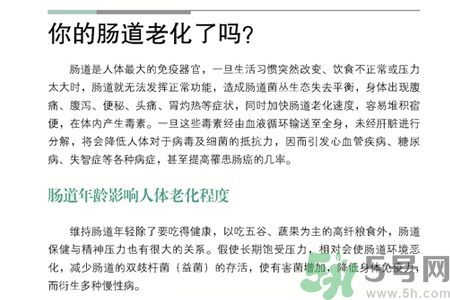 引起腸道老化的原因是什么？四種人腸道老化快