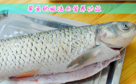 草魚能做回鍋魚片嗎 草魚做回鍋魚片的方法