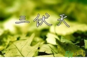 三伏天可以理發(fā)嗎？三伏天為什么不能理發(fā)？