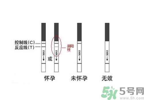 怎么測是否懷孕？早孕試紙怎么用？