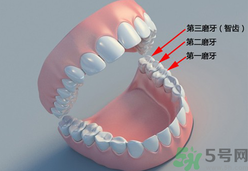 磨牙能治好嗎?睡覺(jué)為什么會(huì)磨牙